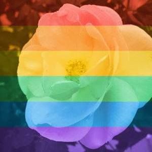 Meet your Posher, Tresa